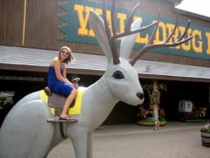 WallDrug