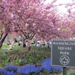 Snapshot of Washington Square Park taken in April