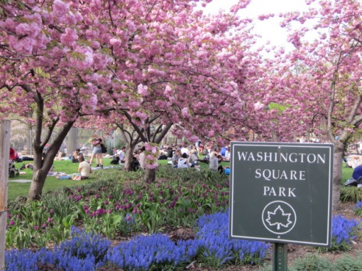 Snapshot of Washington Square Park taken in April