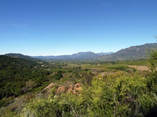 View from Meditation Mount garden