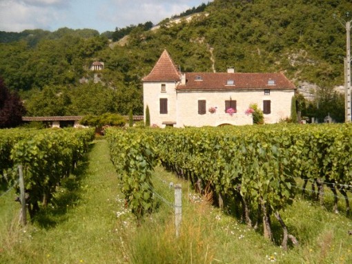Cahors_Chateau wine in southern France