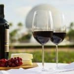 16th Epcot International Food and Wine Festival