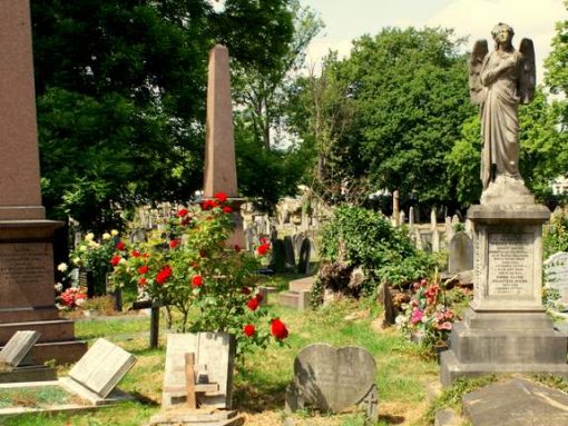 Well-tended roses at Kensal Green cemetery in London