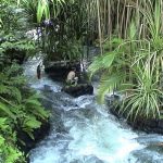 Hot Springs Hideaway in Costa Rica