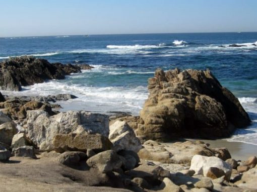 Carmel Coastline