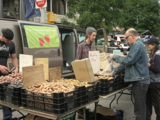 Union Square Greenmarket in NYC (photo by Tui Snider)