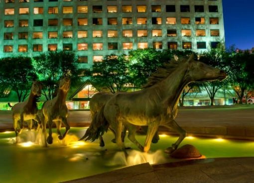 Mustangs at Las Colinas