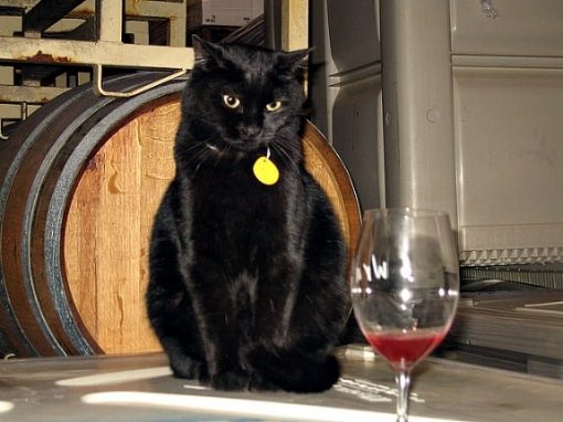 Wrath Winery wine cat