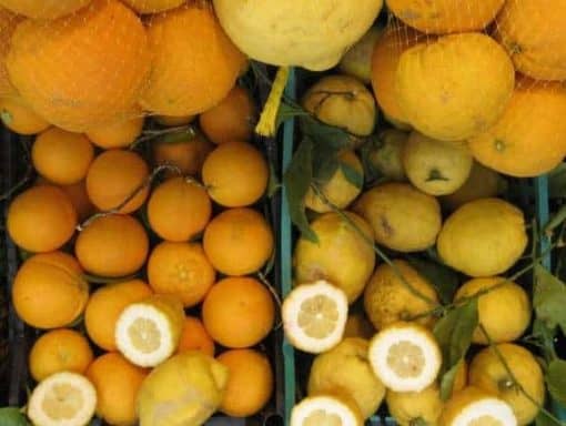 Italian lemons. (photo by Tui Snider)