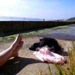 Malibu Nude Beaches: Fact or Fiction?