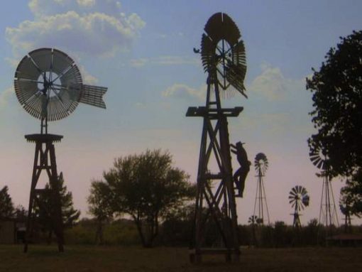 Windmill Farm (photo by Tui Snider)