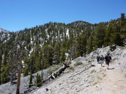 Bristlecone Trail, Las Vegas, NV