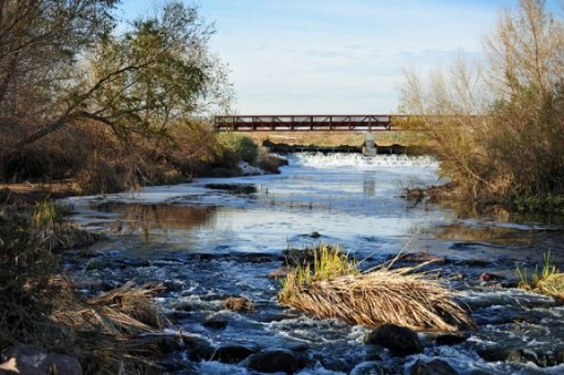 The Wetlands Park, Las Vegas, NV