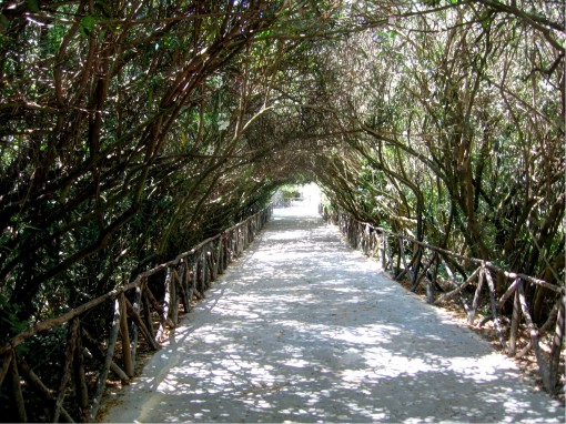 Walking in Siracusa Sicily Italy