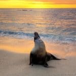 10 Things I didn’t know about the Galapagos