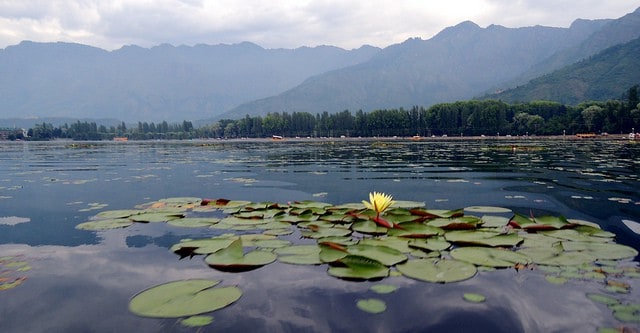 dal-lake