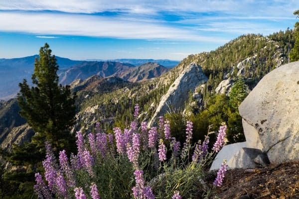 Hiking in Palm Springs