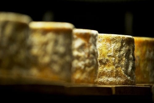 vermont cheese photo