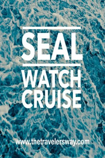 seal watch cruise