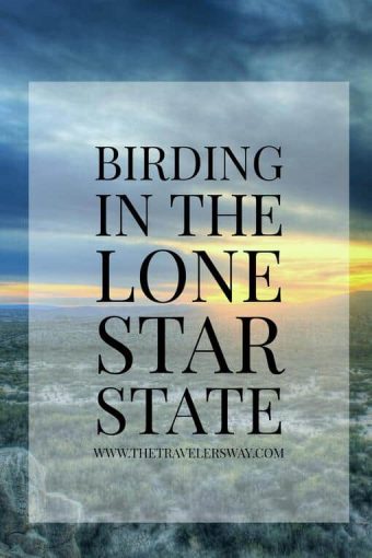 Thanks to its incredible diversity of more than 540 bird species, Texas is widely considered to be America's birding capital