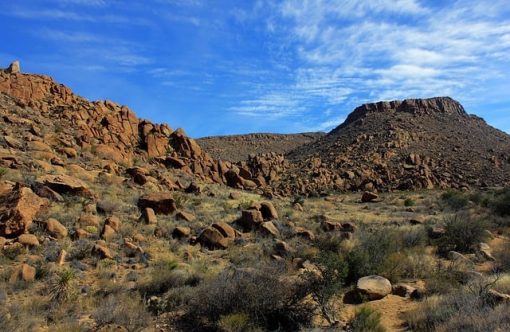 big-bend-national-park-347402_640