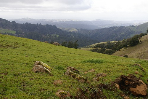 Russian Ridge Preserve photo