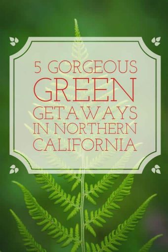 We’ve listed some of the best green getaways from San Francisco so that you can find your sanctuary and experience some of the best that nature has to offer.