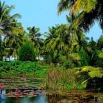 5 Crazy Things to Do When You Are in Goa