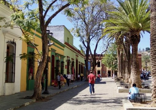 Typical street in oaxaca