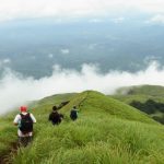 5 Things to Do While You Are in Wayanad, Kerala