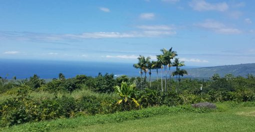 View from Pele Plantations Farm