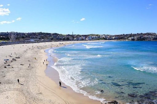 5 Must Do Activities at Bondi Beach