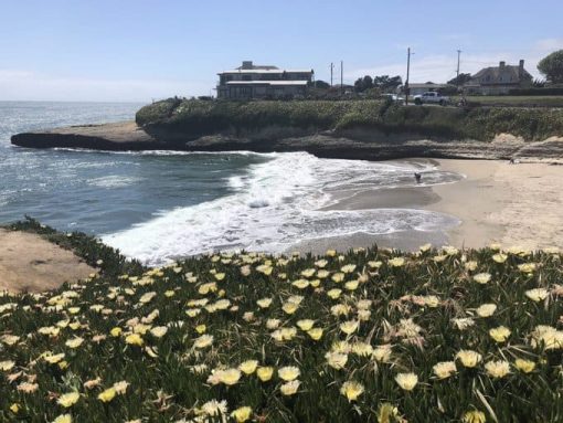 Sunny Cove Beach in Santa Cruz via Mimi McFadden