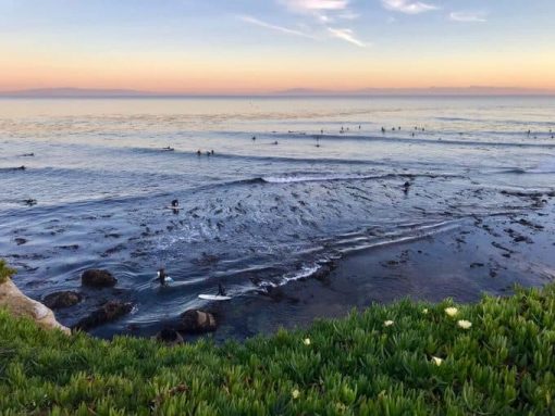 Pleasure Point Beach in Santa Cruz via Unsplash