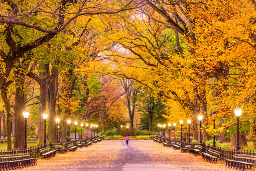 7 Best New York City Spots for Nature Lovers