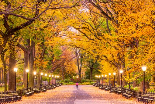 7 Best New York City Spots for Nature Lovers - The Travelers Way