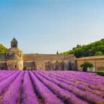 10 Thing to Do in Provence, France