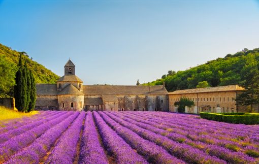 Abbey of Senanque and blooming rows lavender flowers on sunset. Gordes, Luberon, Vaucluse, Provence, France, Europe.