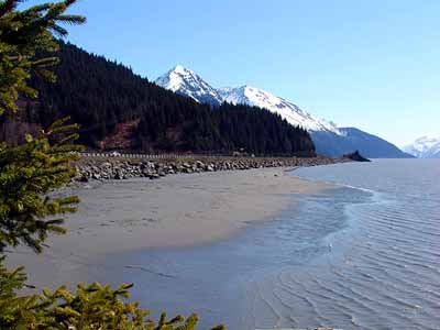 a road along the kenai fjords in alaska