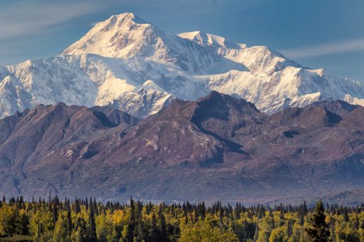 snow capped Mt. Denali with autumn forest in the foreground