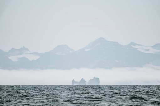 glaciers floating in the arctic