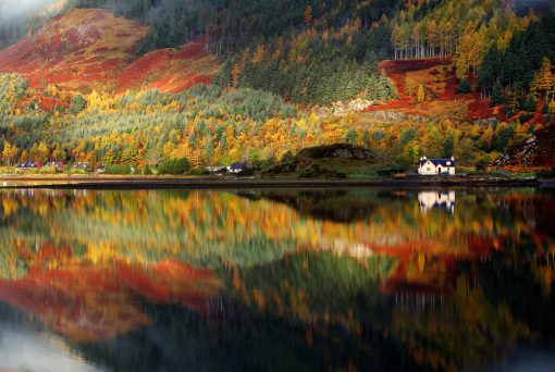 fall color in the scottish highlands